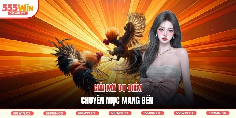 Giải mã ưu điểm chuyên mục mang đến