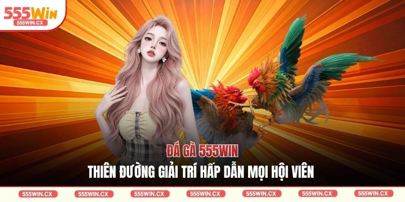 Đá gà 555WIN - Thiên đường giải trí hấp dẫn mọi hội viên