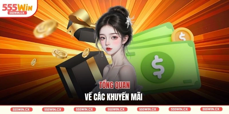 Tổng quan về các khuyến mãi